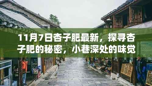 探寻杏子肥的秘密,小巷深处的味觉盛宴(最新杏子肥报道)