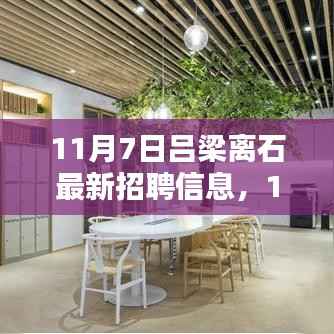 11月7日吕梁离石最新招聘信息全解析与介绍