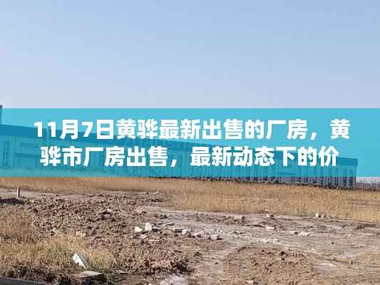 关于我们 第389页