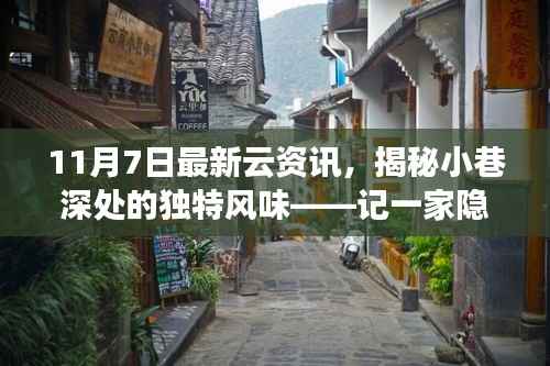 揭秘隐藏版特色小店,云资讯带你领略小巷深处的独特风味