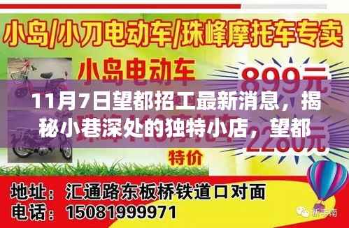 揭秘望都招工最新消息与小巷深处独特小店的背后故事(附日期)