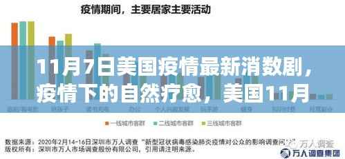 美国疫情最新数据下的自然疗愈与绿色旅行新篇章(11月7日)