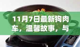 温馨故事,与最新狗肉车的奇妙相遇之旅(11月7日)