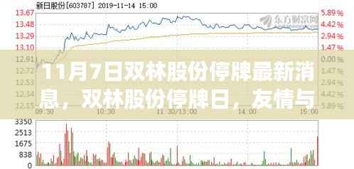 双林股份停牌日,友情与家庭的温暖时光,最新消息揭秘