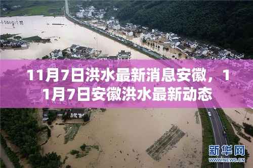 安徽洪水最新动态,11月7日洪水最新消息更新