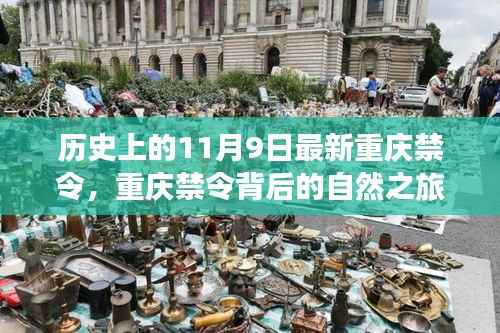 重庆禁令背后的自然之旅，一场心灵探险之旅的探寻与纪念