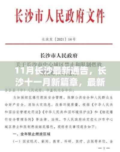 长沙十一月最新通告解析,开启秋日新篇章 🍂