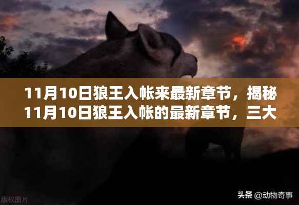 揭秘狼王入帐最新章节,深度解析三大要点