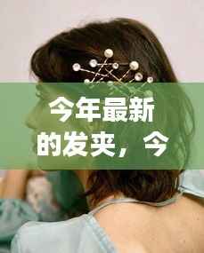 今年最新发夹潮流深度解析,背景、事件、影响与地位的探讨