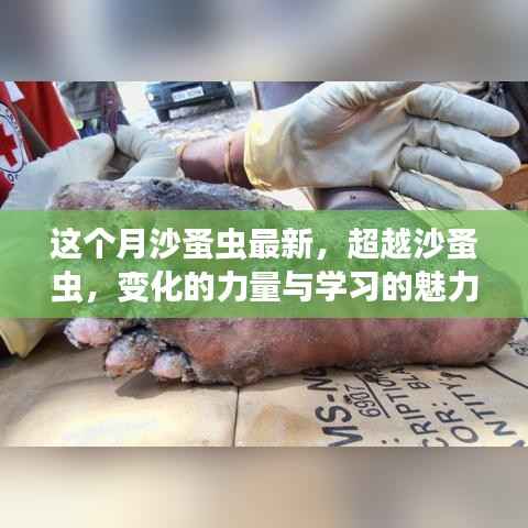 初遇在故事开头 第8页