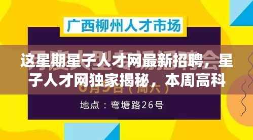 星子人才网独家揭秘,本周高科技产品更新引领未来招聘新潮流,最新招聘信息大放送