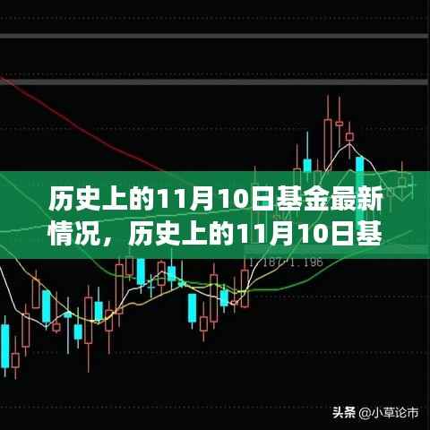 历史上的11月10日基金动态与市场深度剖析,最新情况与策略调整