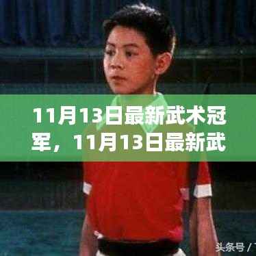 武术新星背后的故事,天赋与努力的完美结合,最新武术冠军揭秘