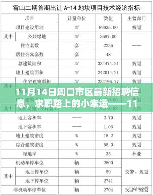 11月14日周口市区招聘盛况,求职者的幸运日