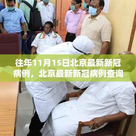 北京往年11月15日新冠病例数据解析与查询指南,共同守护你我他的健康防线