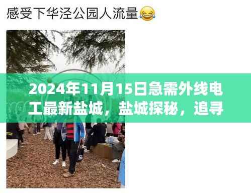 盐城外线电工奇遇，探寻自然美景之旅与电共舞的一天