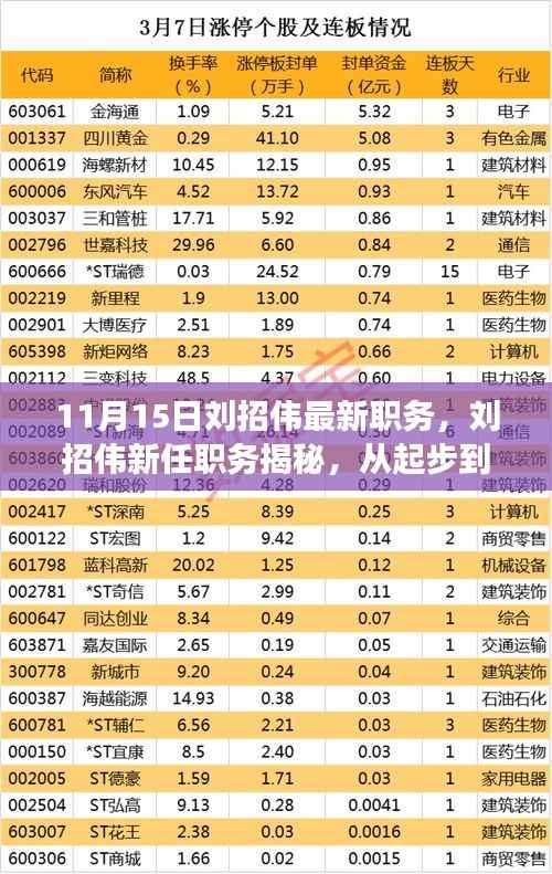 揭秘刘招伟的新职务,职场征途从起步到高峰的历程