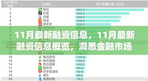 洞悉金融机遇与挑战,11月最新融资信息全景概览