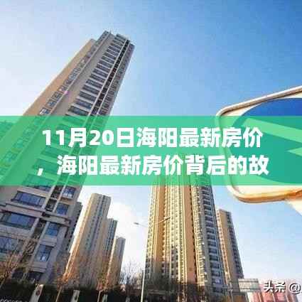 海阳最新房价揭秘,变化的力量与自信成就之旅