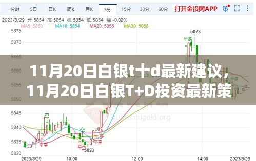 某某观点深度解读,11月20日白银T+D最新投资策略及建议分析