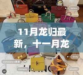 走马观花 第17页