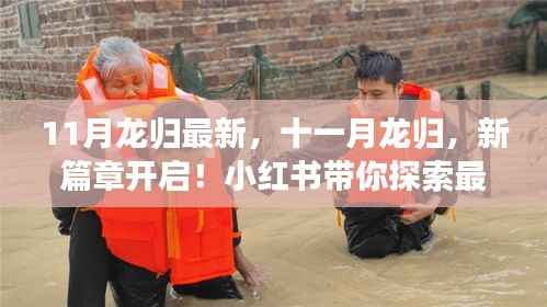 十一月龙归新篇章开启,探索最新动态,揭秘魅力所在——小红书指南
