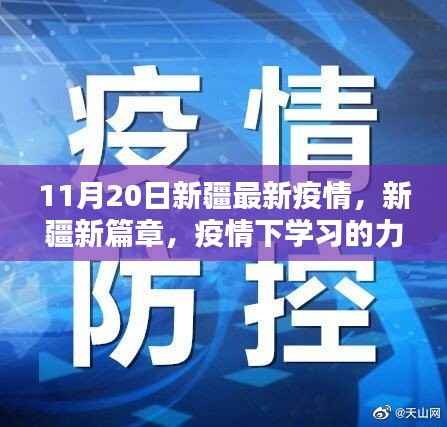 新疆疫情下的学习力量与自我超越奇迹,最新篇章揭秘(11月20日更新)