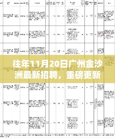 广州金沙洲最新招聘重磅更新,职业梦想从这里起航!历年招聘信息大揭秘!