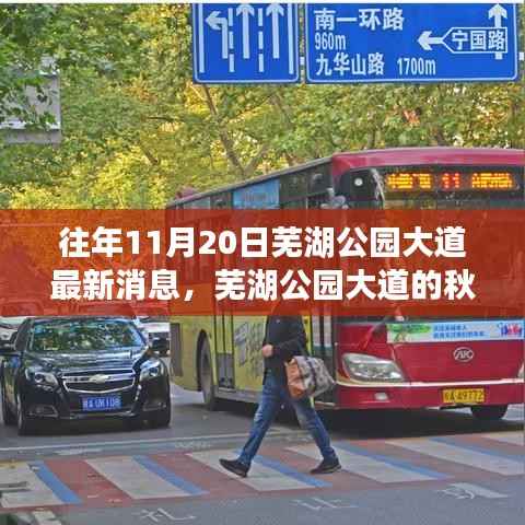 芜湖公园大道秋日奇遇,友情与陪伴的温馨故事揭秘