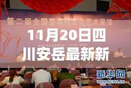 四川安岳最新新闻热点及背后观点与立场分析热议(11月20日)