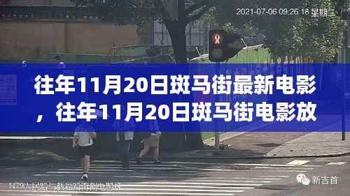 往年11月20日斑马街电影文化深度探讨,放映与现象观察
