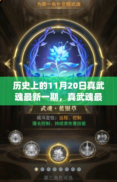 真武魂最新一期,历史神奇日子与家族冒险之旅纪念回顾