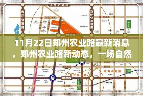 11月22日郑州农业路最新消息,郑州农业路新动态,一场自然美景的探索之旅,寻找内心的平和与宁静