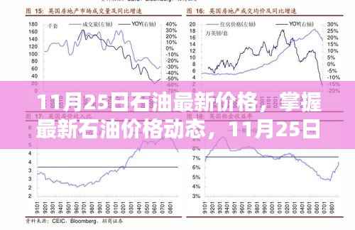 11月25日石油最新价格，掌握最新石油价格动态，11月25日石油价格查询与理解步骤指南（初学者与进阶用户适用）