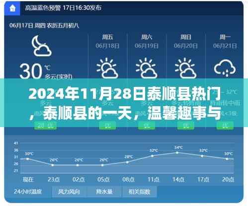 2024年11月28日泰顺县热门,泰顺县的一天,温馨趣事与深厚友情
