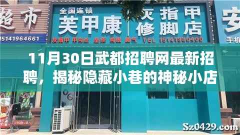 揭秘隐藏小巷的神秘小店,武都招聘网带你探寻最新招聘信息与独特环境体验日活动开启!