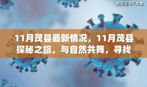 11月茂县探秘之旅,与自然共舞,寻觅内心宁静乐园的最新情况