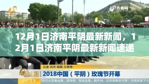 济南平阴最新新闻速递(12月1日)