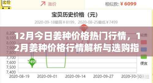 12月今日姜种价格热门行情,12月姜种价格行情解析与选购指南