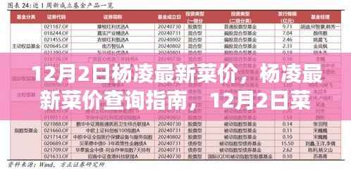 营销网络 第276页