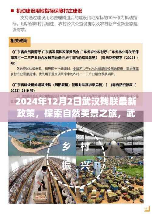 营销网络 第275页