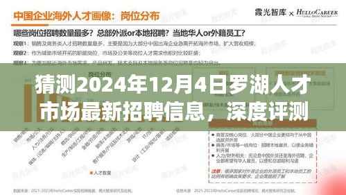 深度解读,预测与评测罗湖人才市场最新招聘信息(2024年12月4日)特性、体验、竞品对比及用户群体分析
