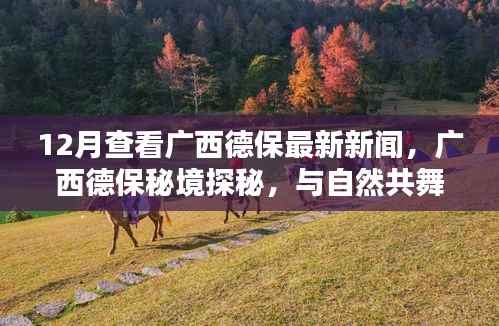 广西德保秘境探秘,与自然共舞,寻找心灵的宁静港湾——最新新闻报道