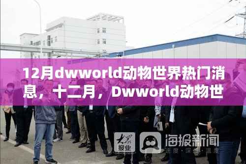 Dwworld动物世界十二月璀璨瞬间,热门消息回顾与影响