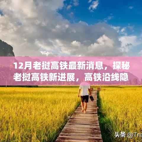 九死一生 第5页