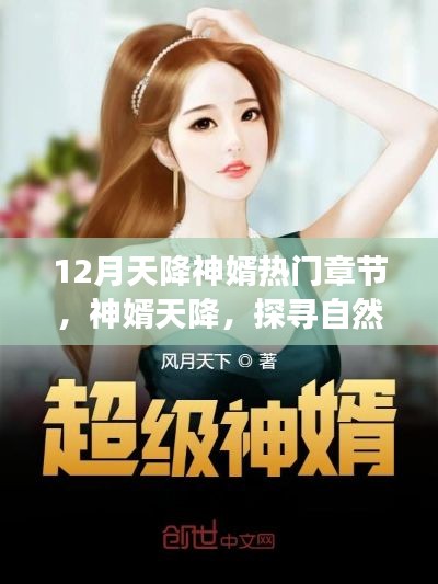 十二月神婿奇迹之旅,自然秘境探寻与天降奇缘
