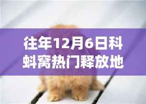 科蚪窝蜕变日,学习成就无限可能,自信闪耀的热门释放日