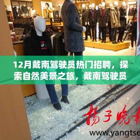 戴南驾驶员招聘启事,探索自然美景之旅,寻找内心的宁静与平和(十二月热门职位)