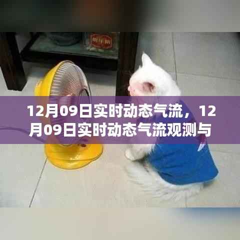 莺声燕语 第2页