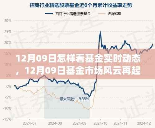解读基金市场风云再起，实时动态分析与行业洞察